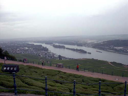 The Rhein River